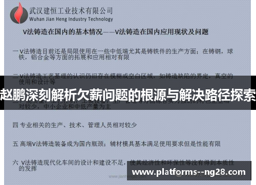 赵鹏深刻解析欠薪问题的根源与解决路径探索 赵鹏深刻解析欠薪问题的根源与解决路径探索