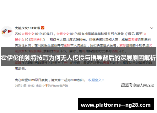 霍伊伦的独特技巧为何无人传授与指导背后的深层原因解析