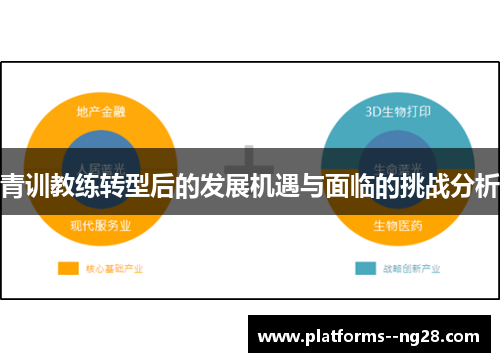 青训教练转型后的发展机遇与面临的挑战分析